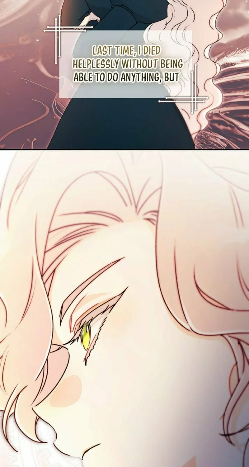The Male Lead