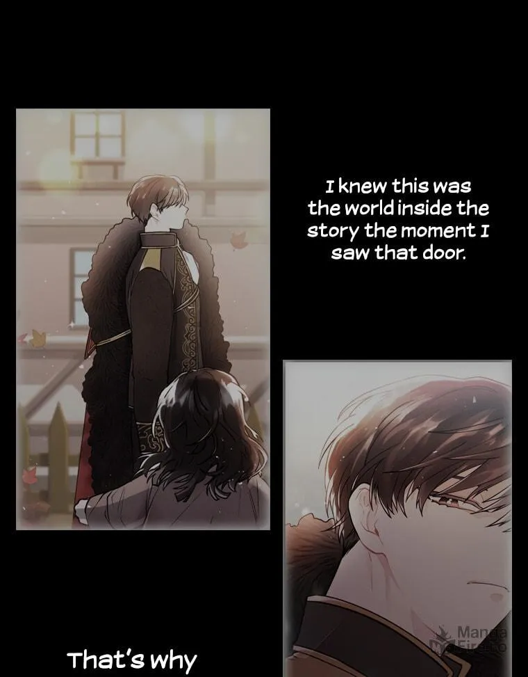 The Male Lead