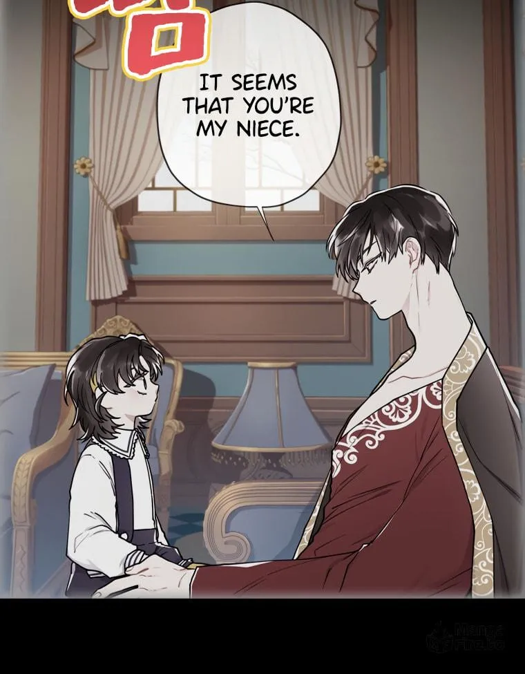 The Male Lead