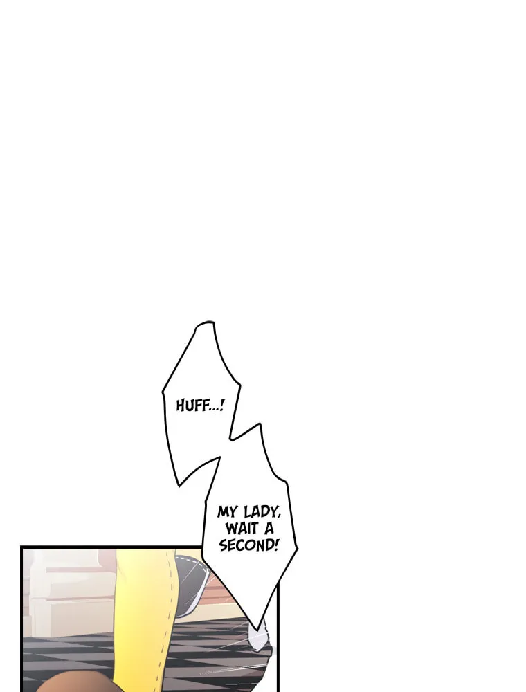 The Male Lead