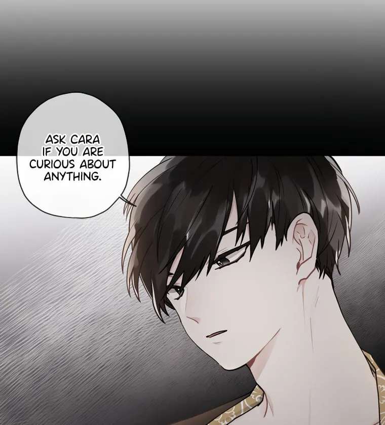 The Male Lead