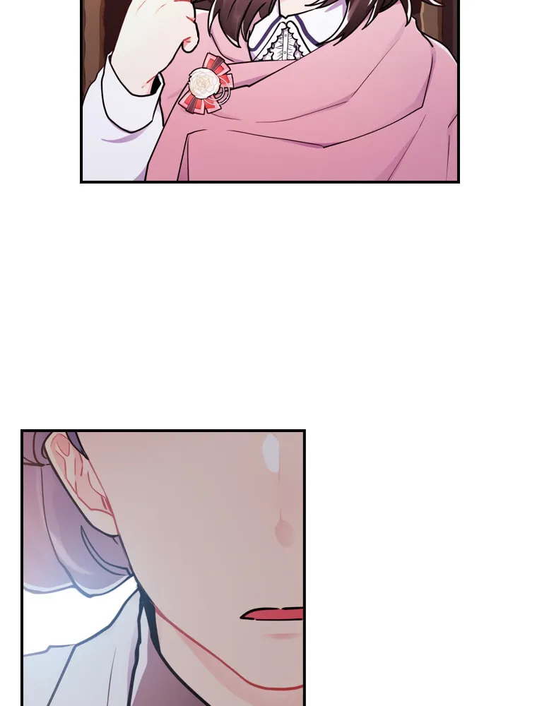The Male Lead