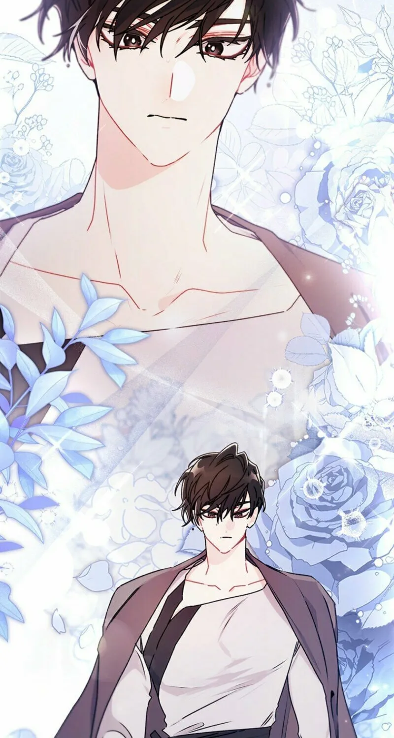 The Male Lead