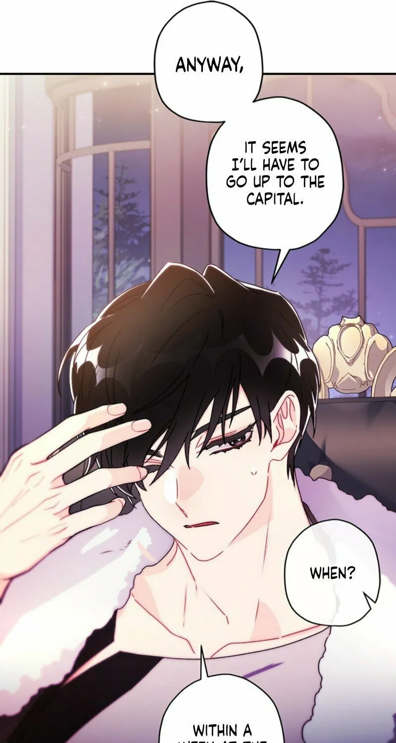 The Male Lead