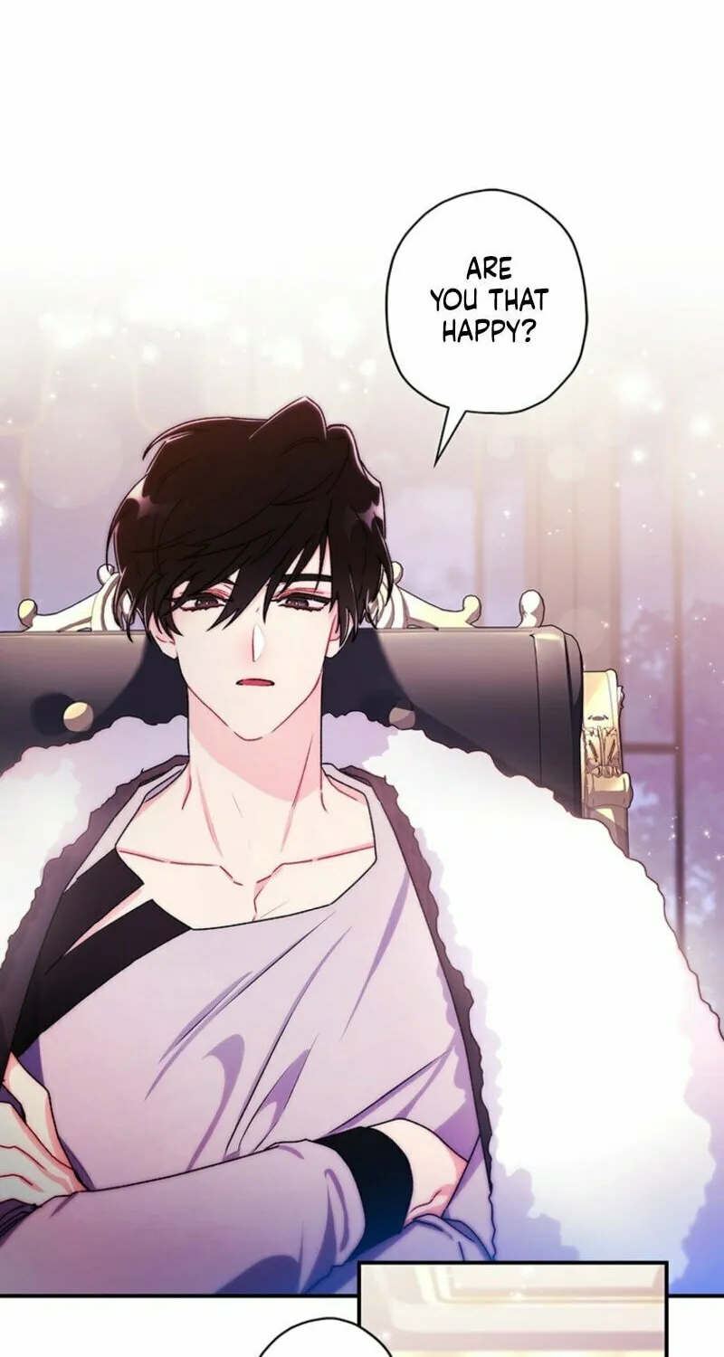 The Male Lead