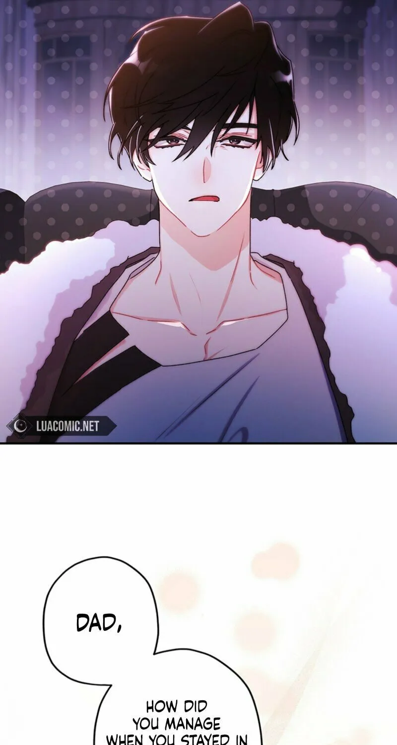 The Male Lead
