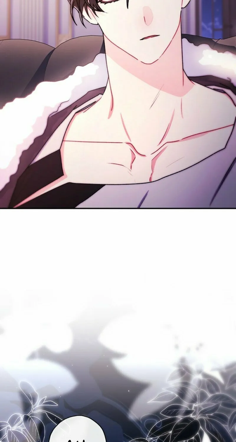 The Male Lead