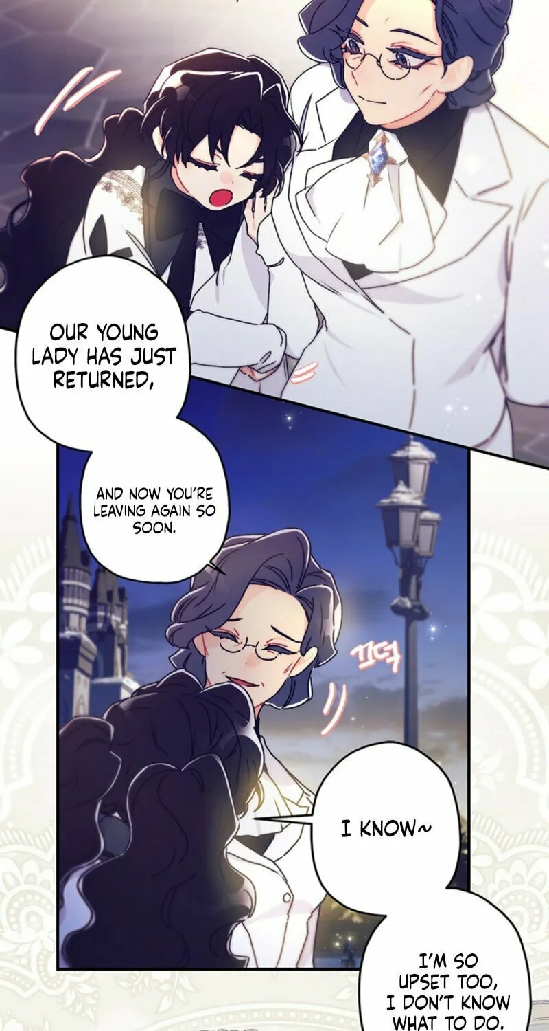 The Male Lead
