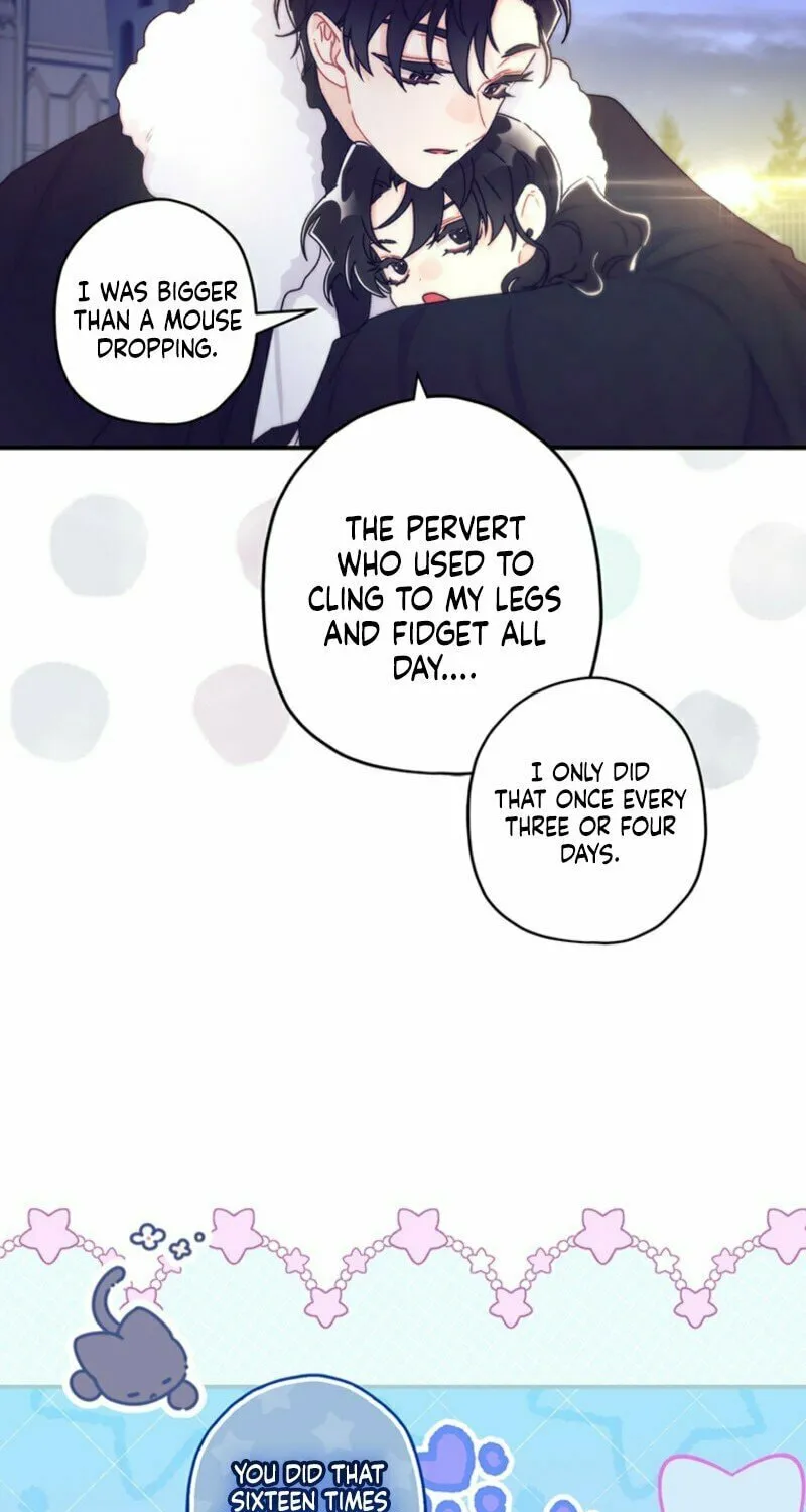 The Male Lead