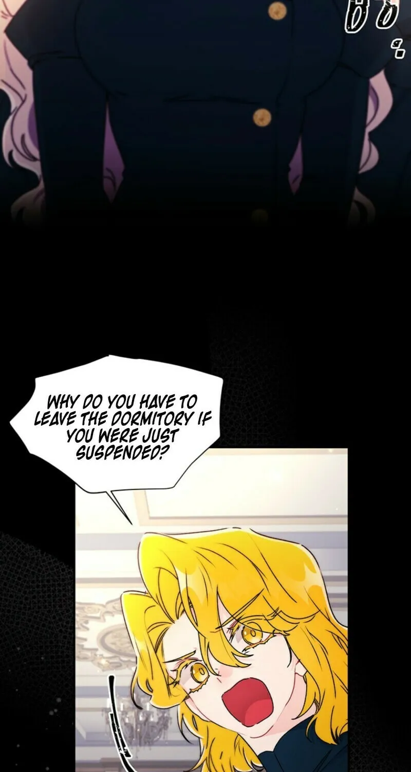 The Male Lead