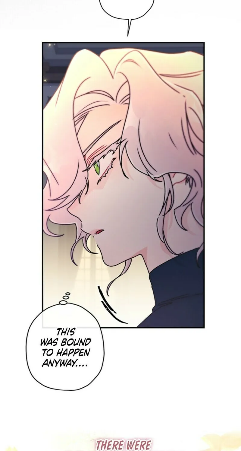 The Male Lead