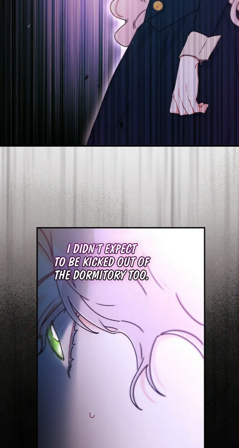 The Male Lead