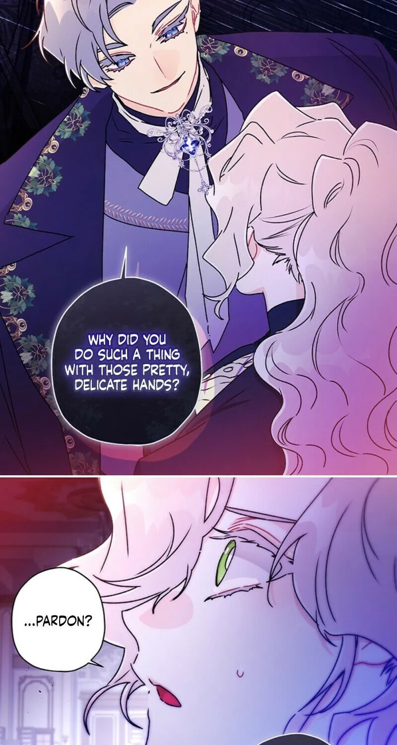 The Male Lead