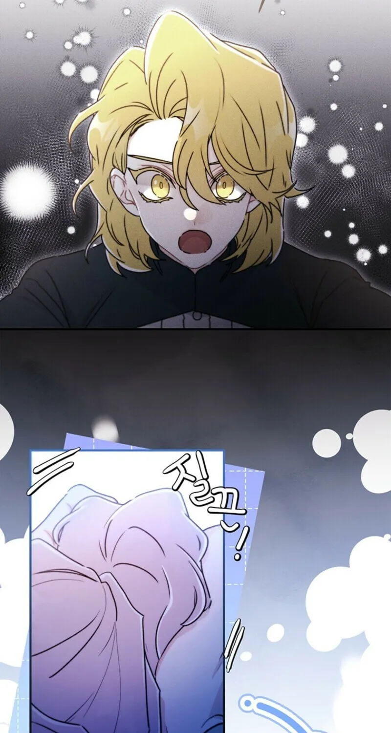 The Male Lead