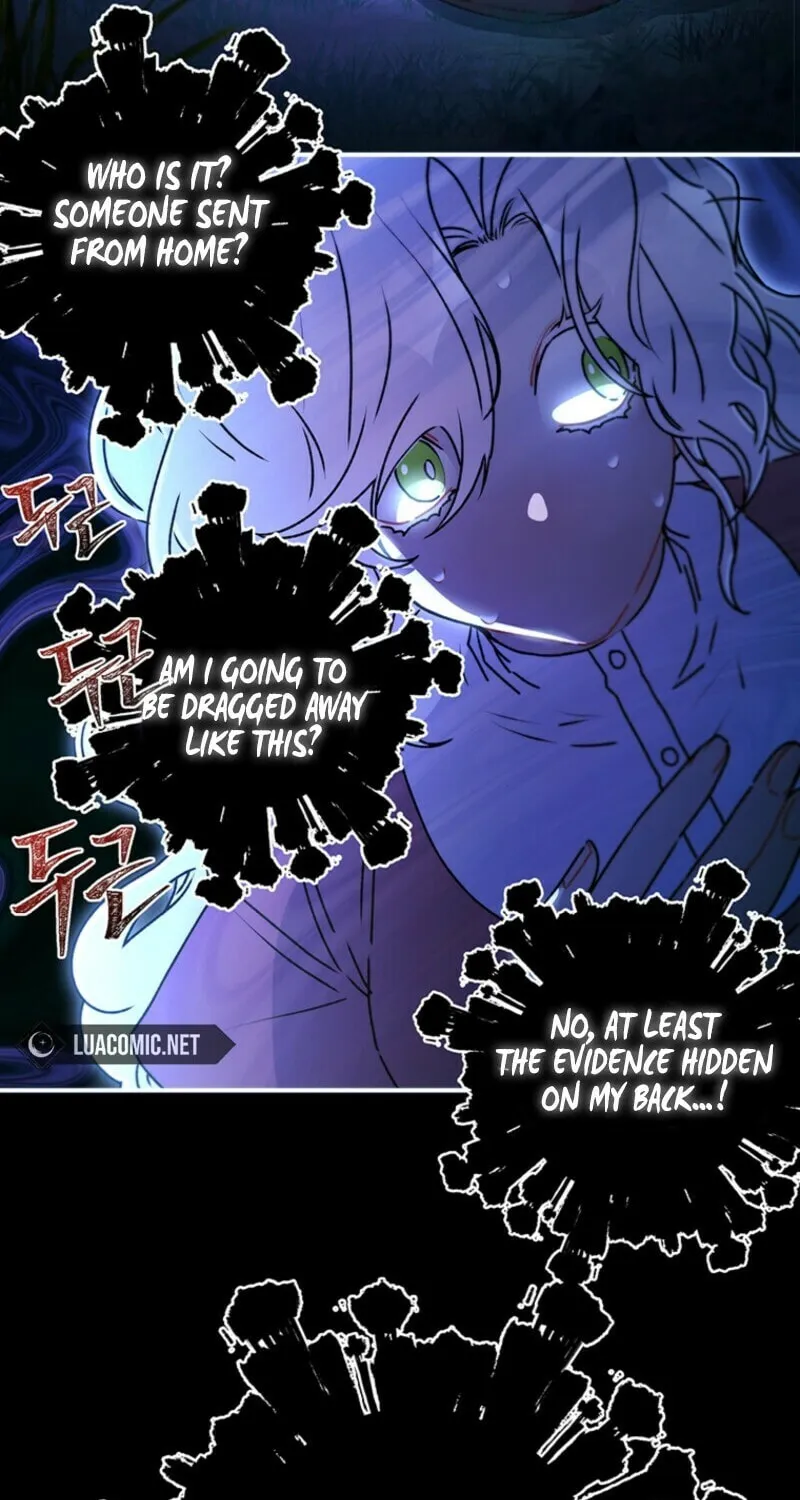 The Male Lead