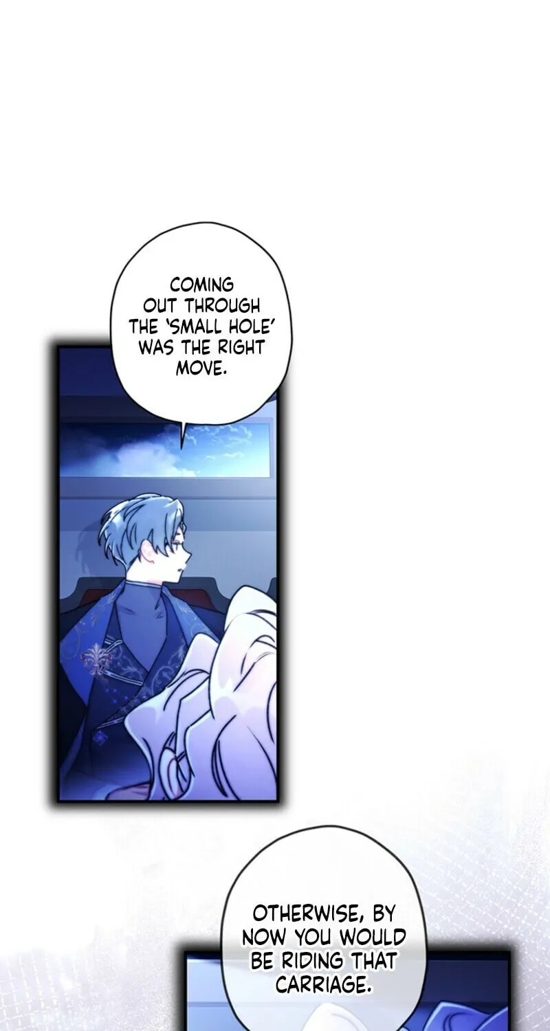 The Male Lead