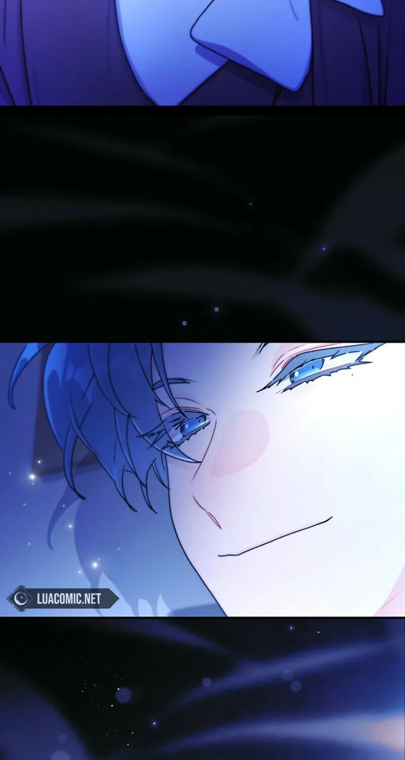 The Male Lead