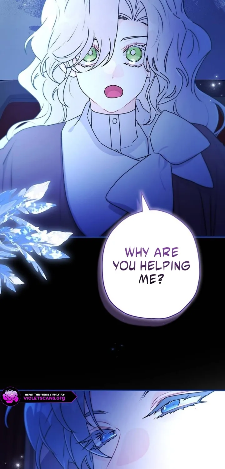 The Male Lead