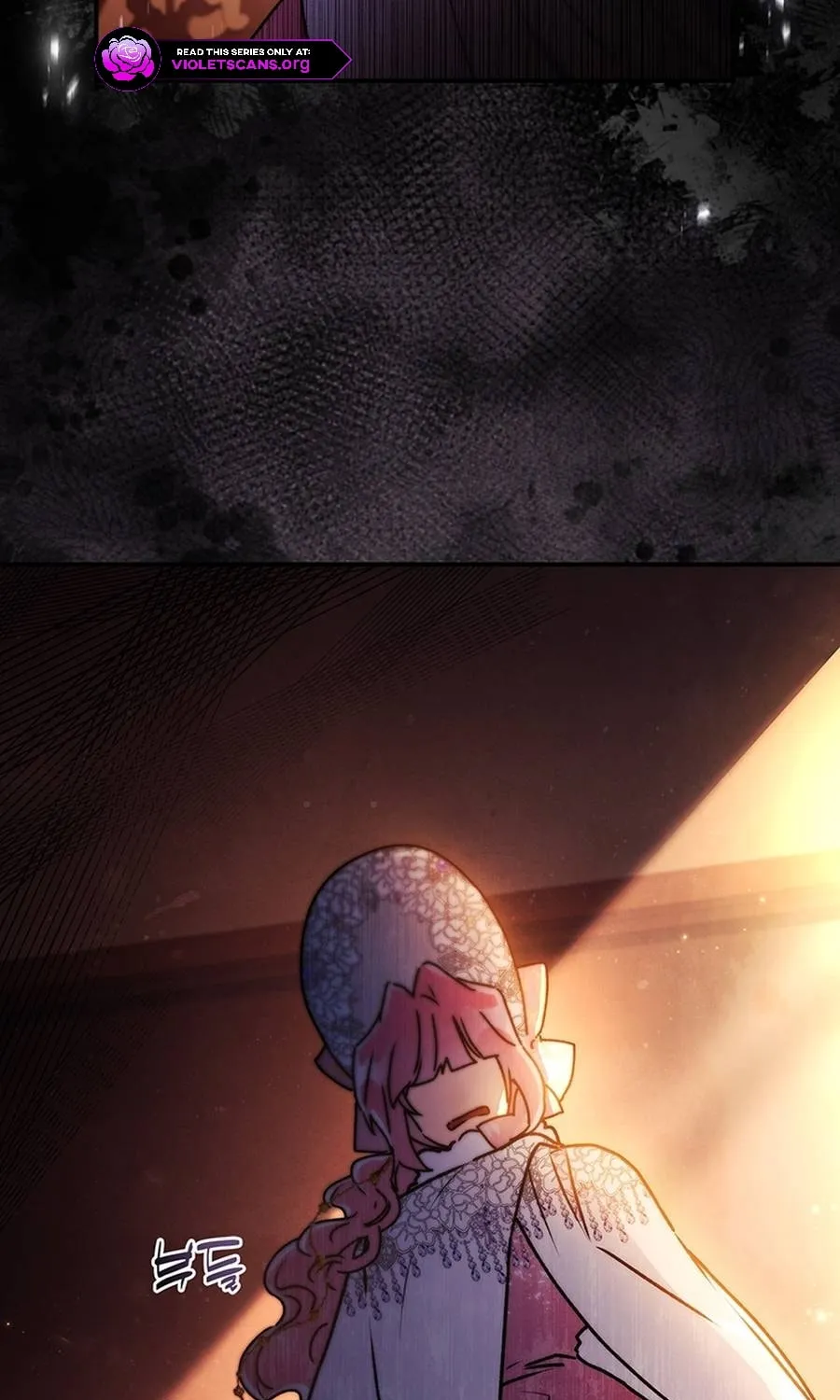 The Male Lead
