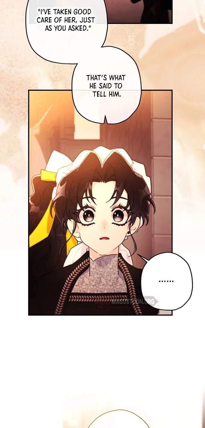 The Male Lead