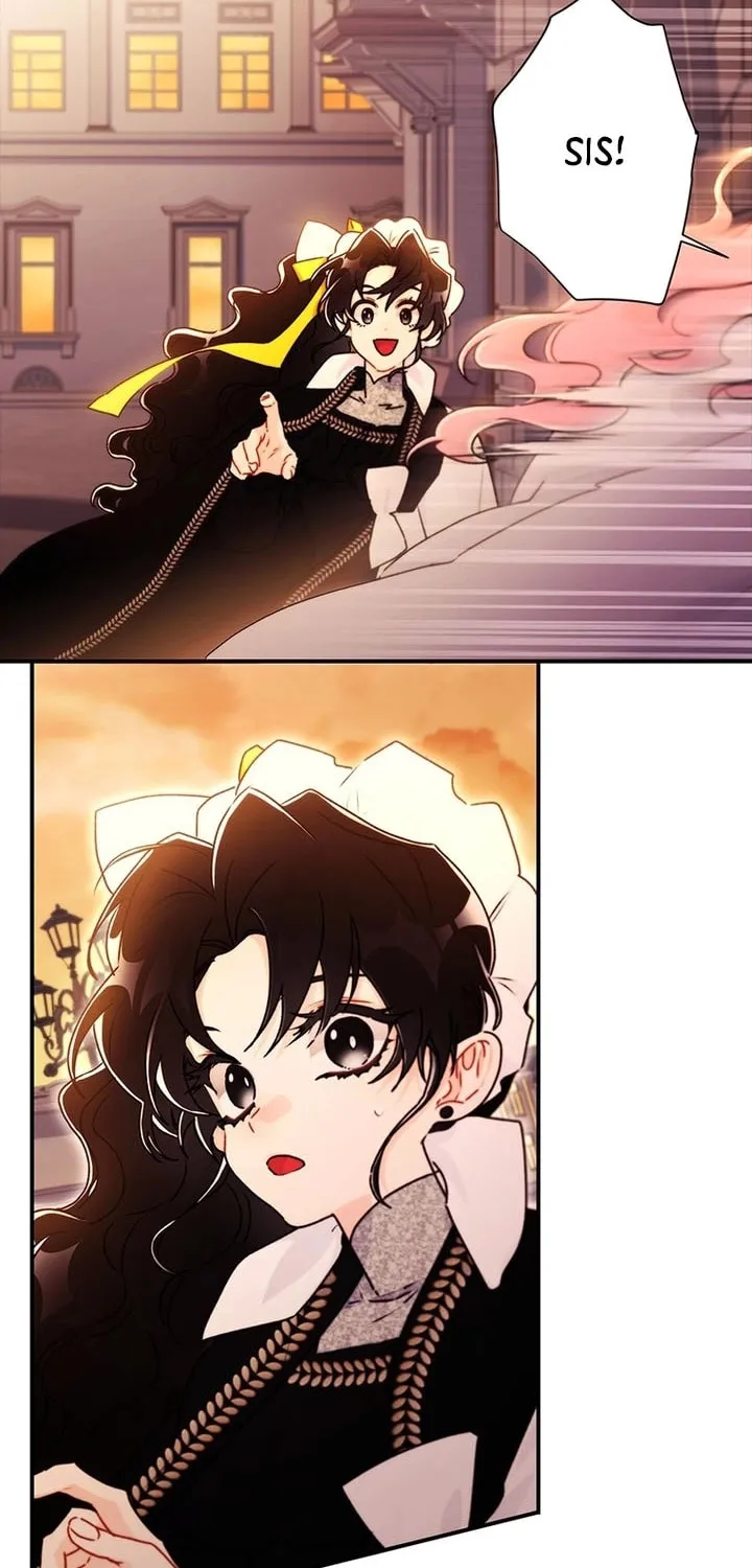 The Male Lead