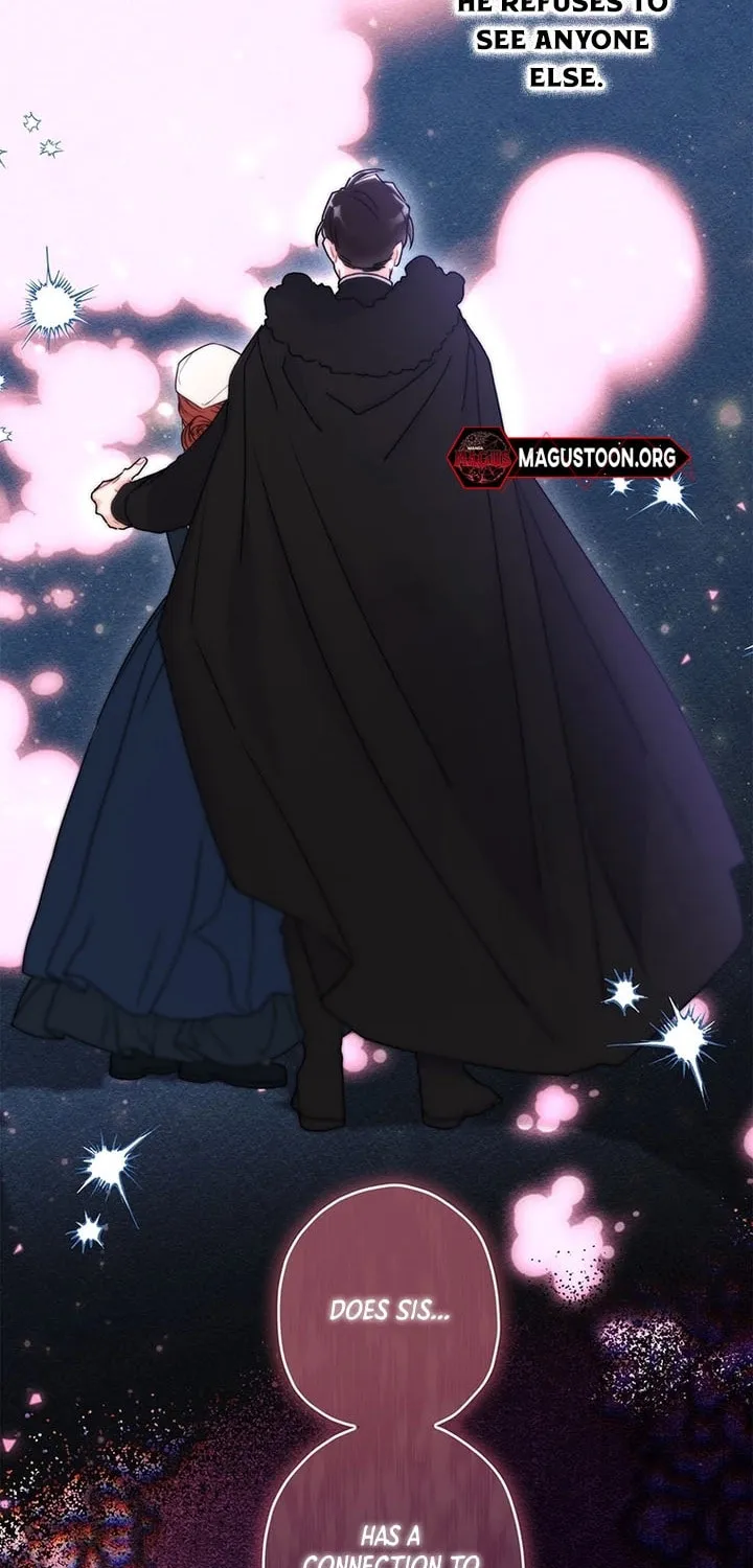 The Male Lead