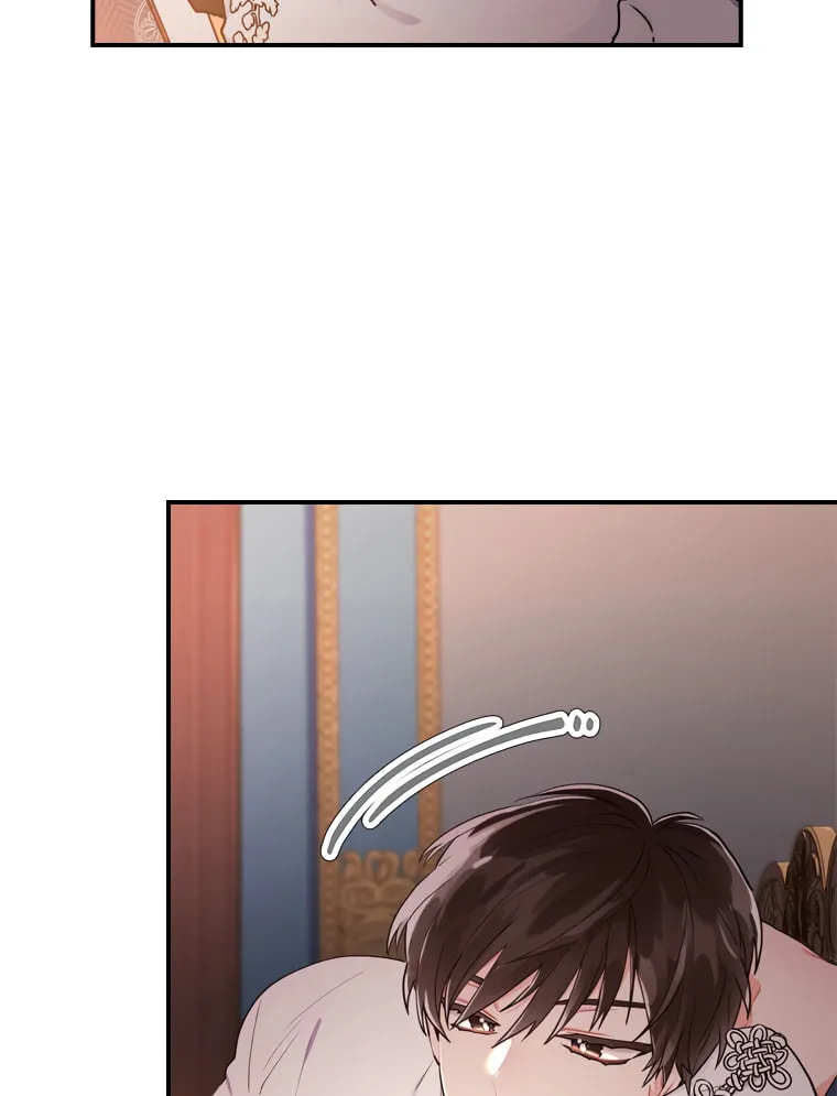 The Male Lead