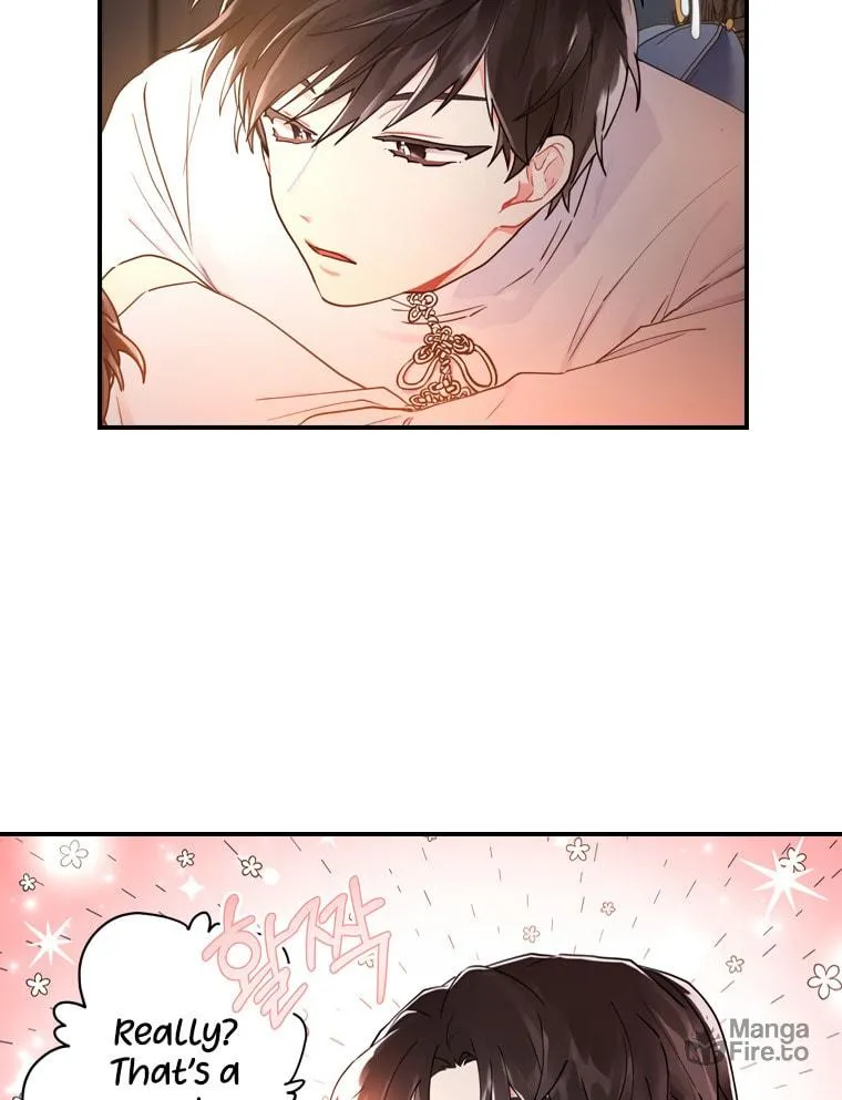 The Male Lead
