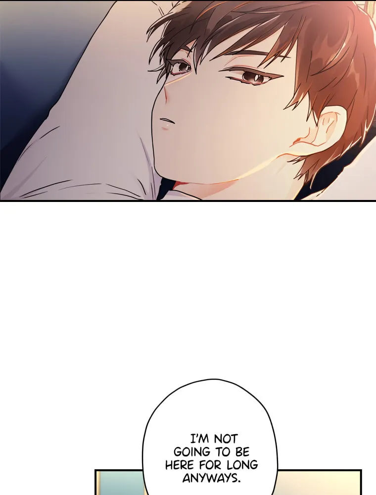 The Male Lead