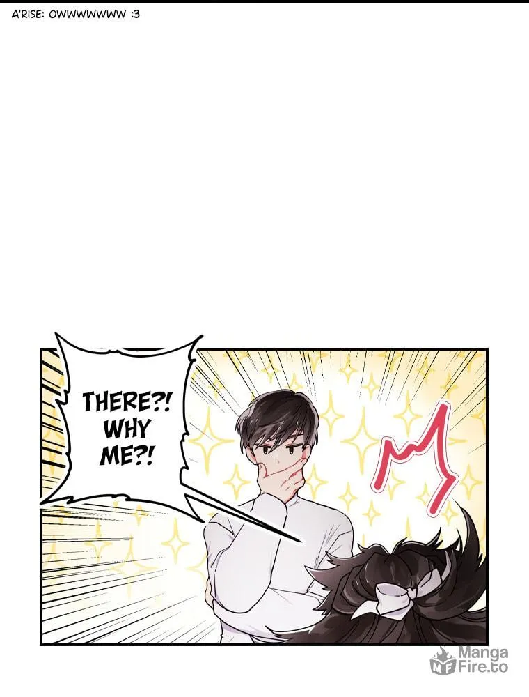The Male Lead