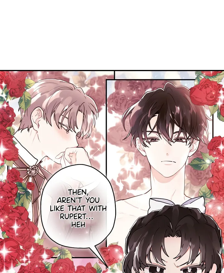 The Male Lead
