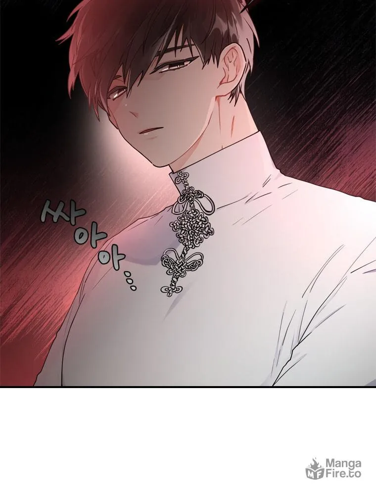 The Male Lead