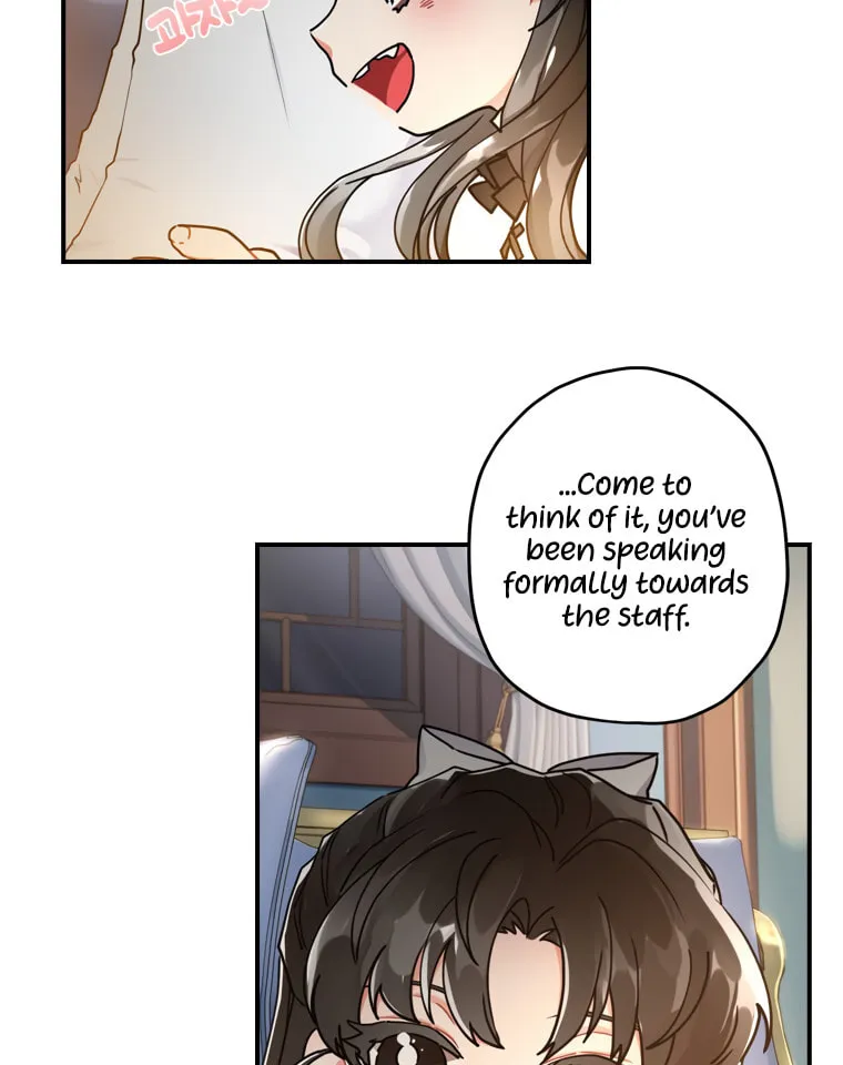 The Male Lead