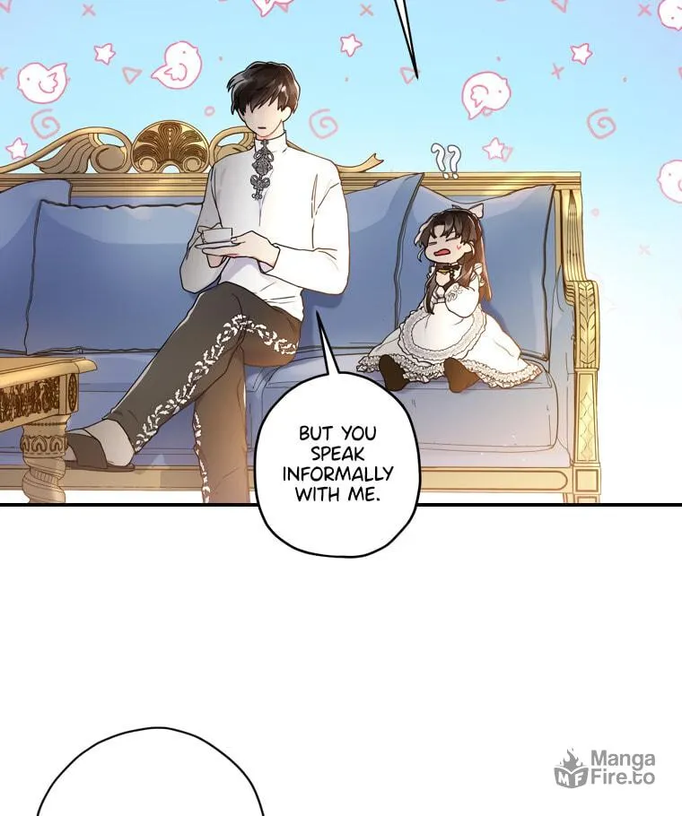 The Male Lead