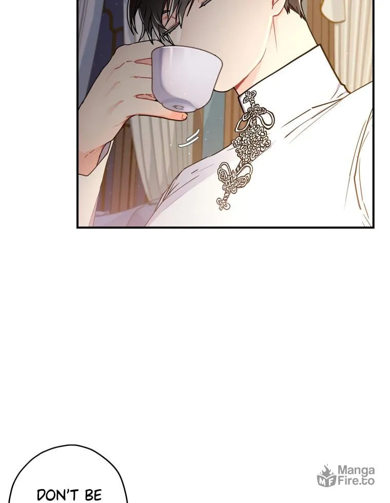 The Male Lead