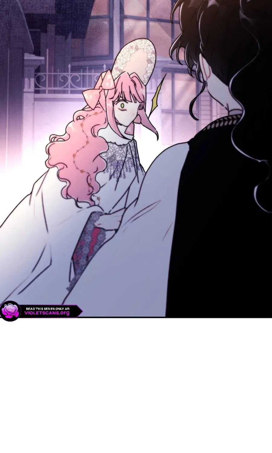 The Male Lead