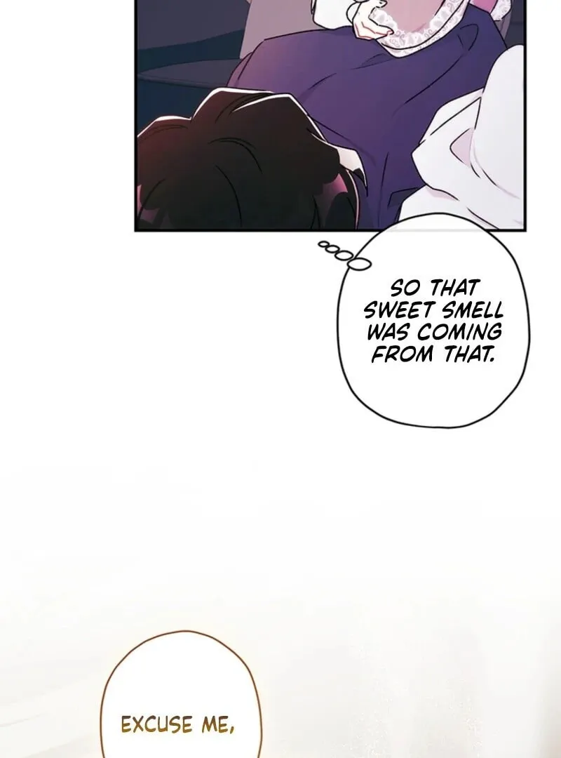 The Male Lead
