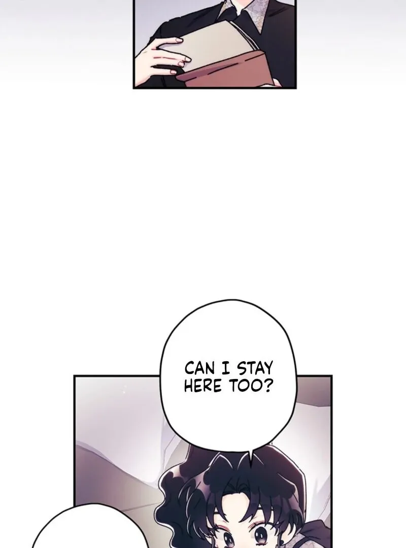 The Male Lead