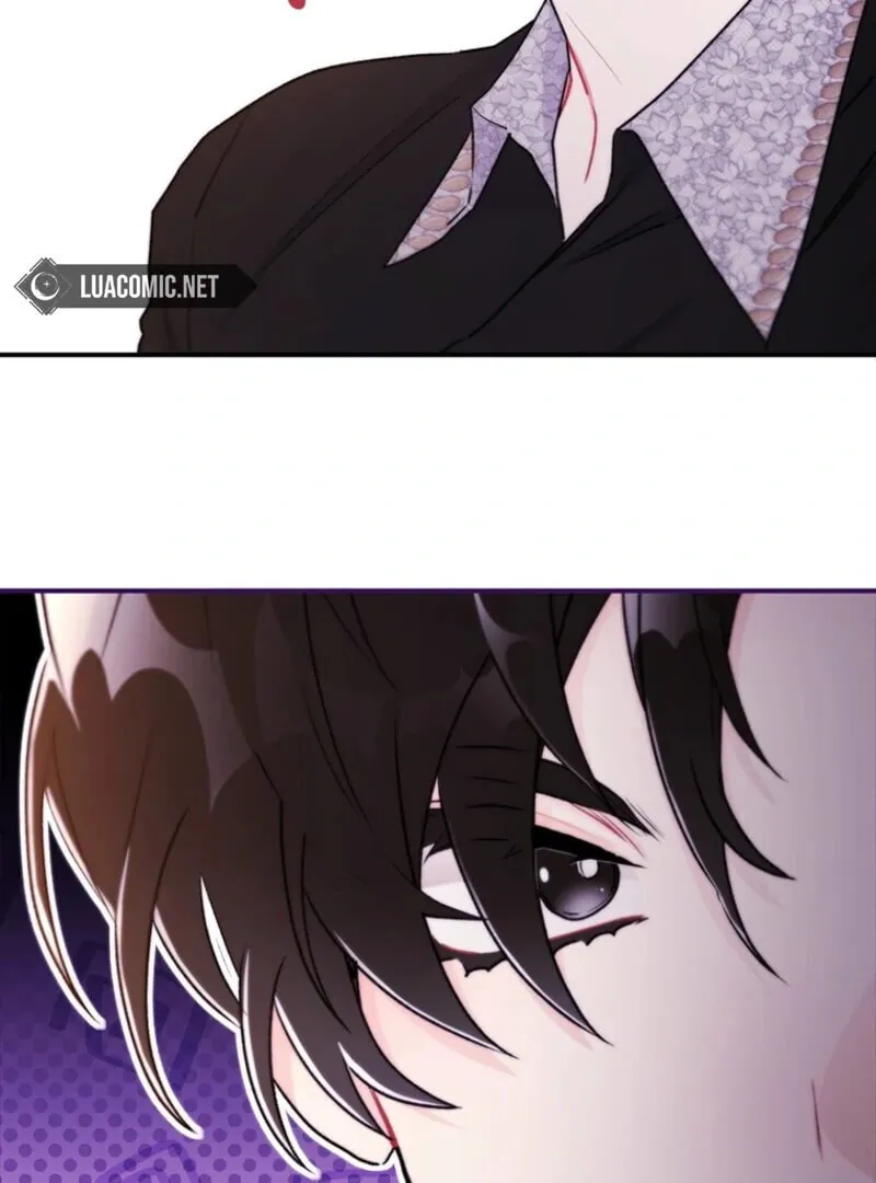 The Male Lead