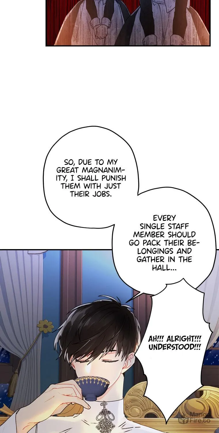 The Male Lead