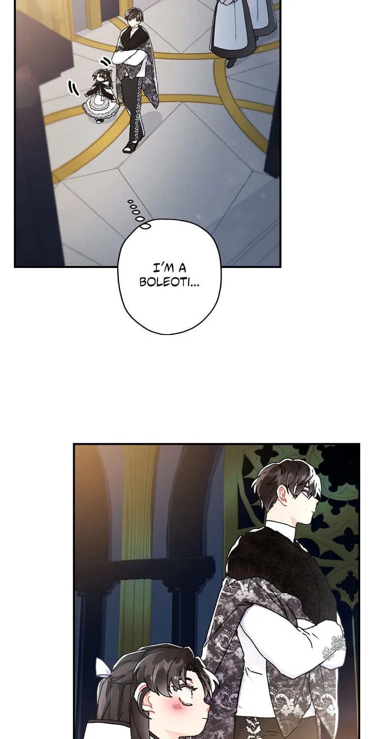 The Male Lead