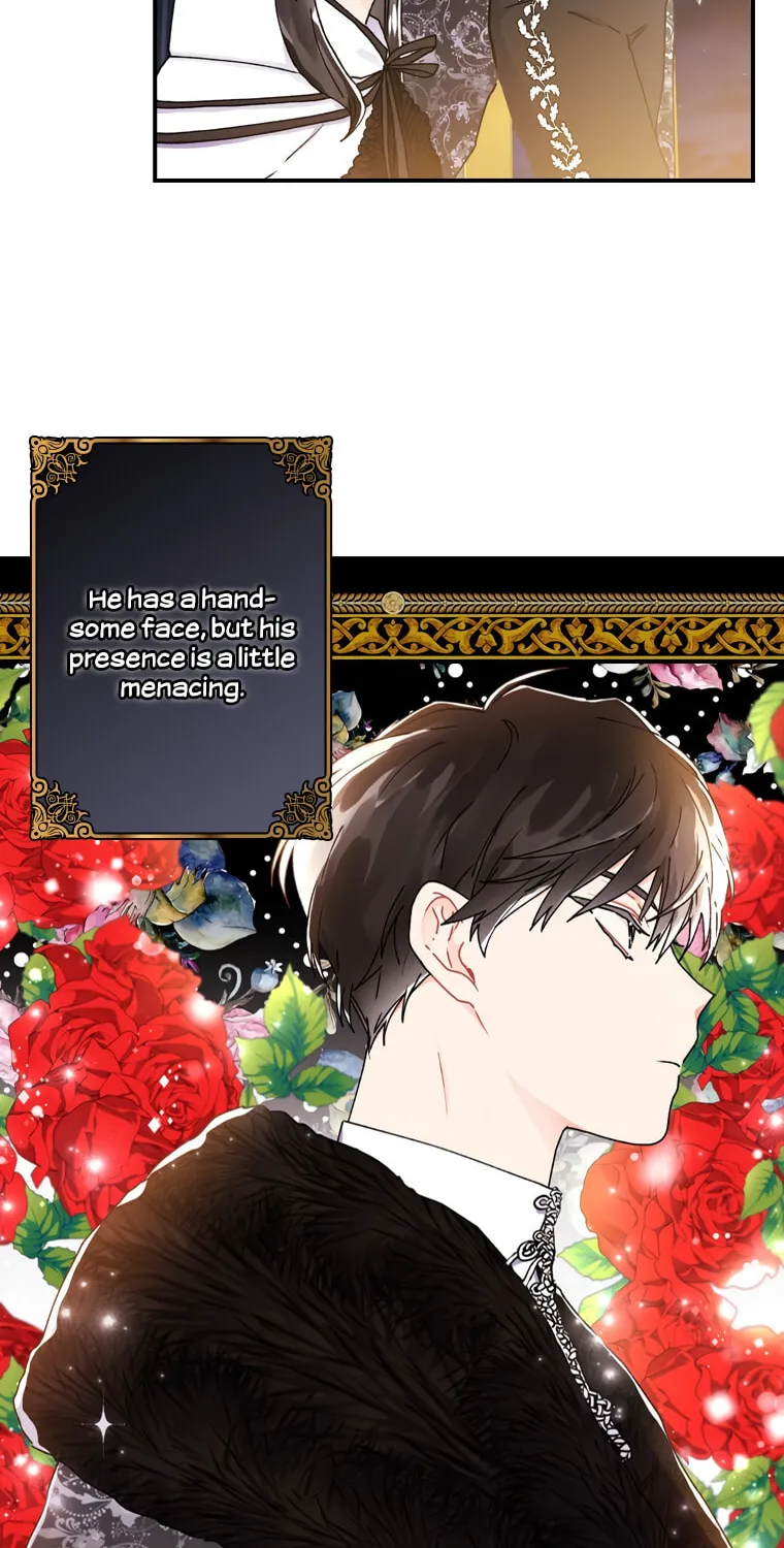 The Male Lead