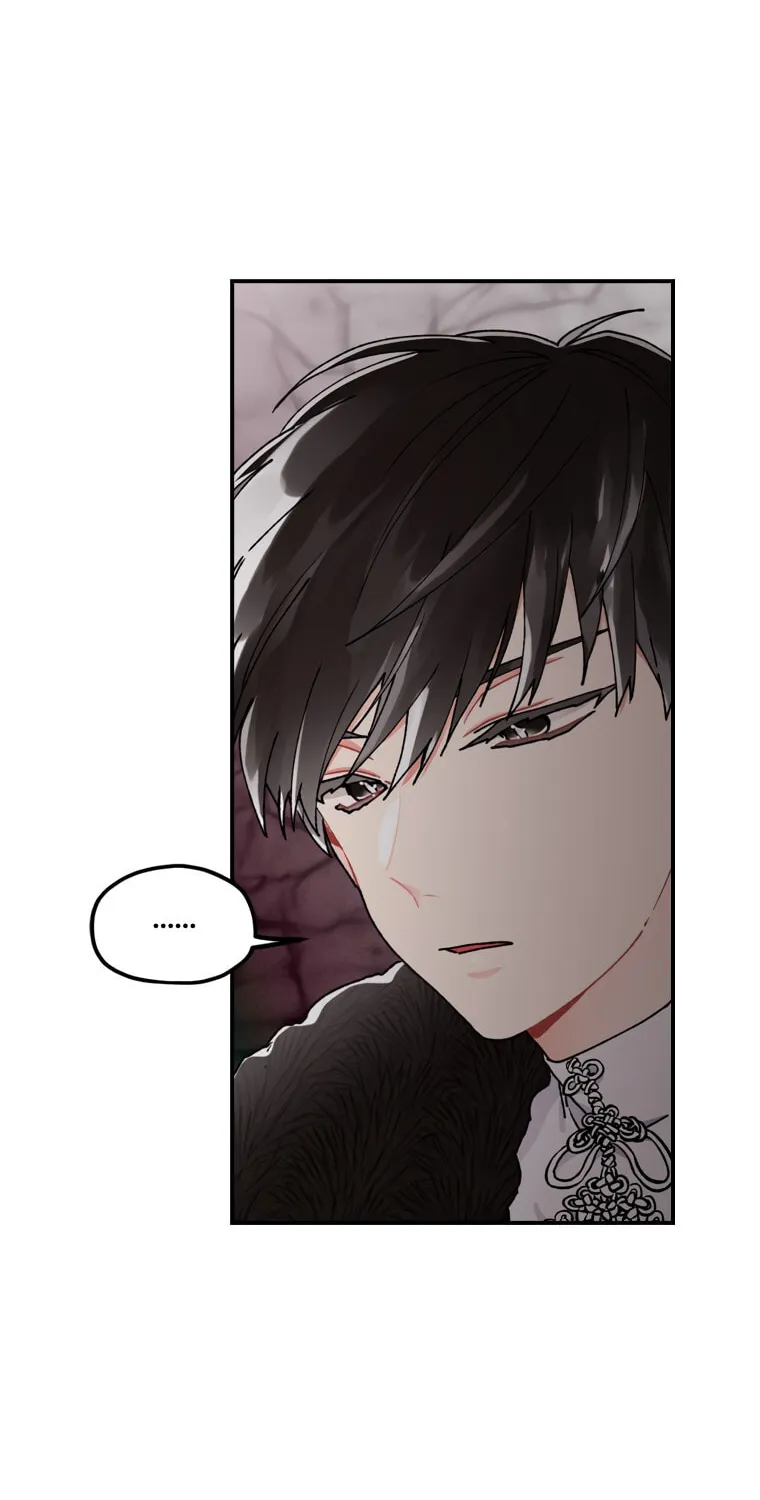 The Male Lead