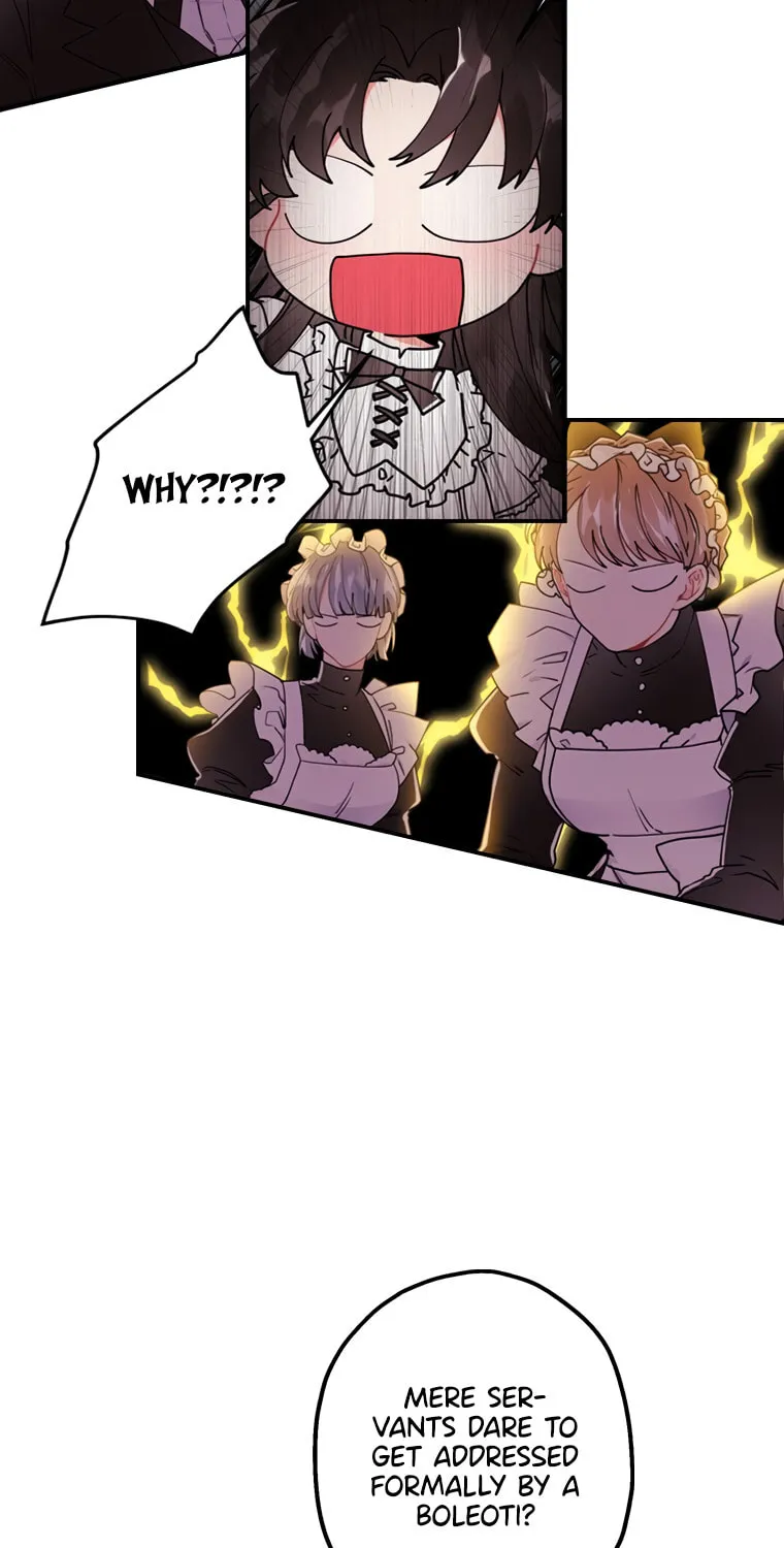 The Male Lead