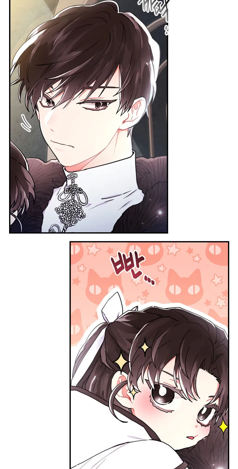 The Male Lead