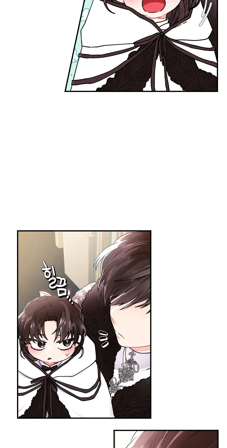 The Male Lead