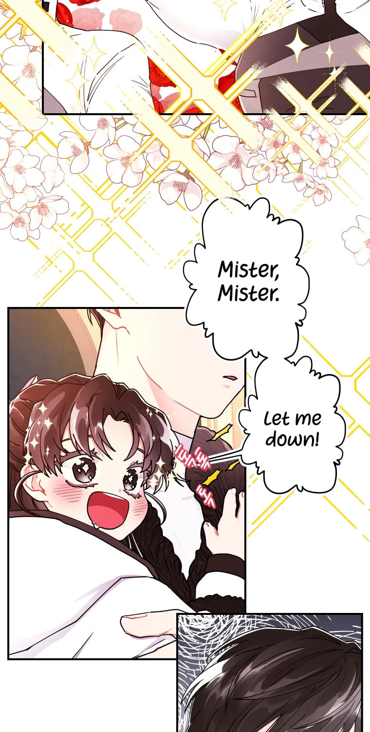 The Male Lead
