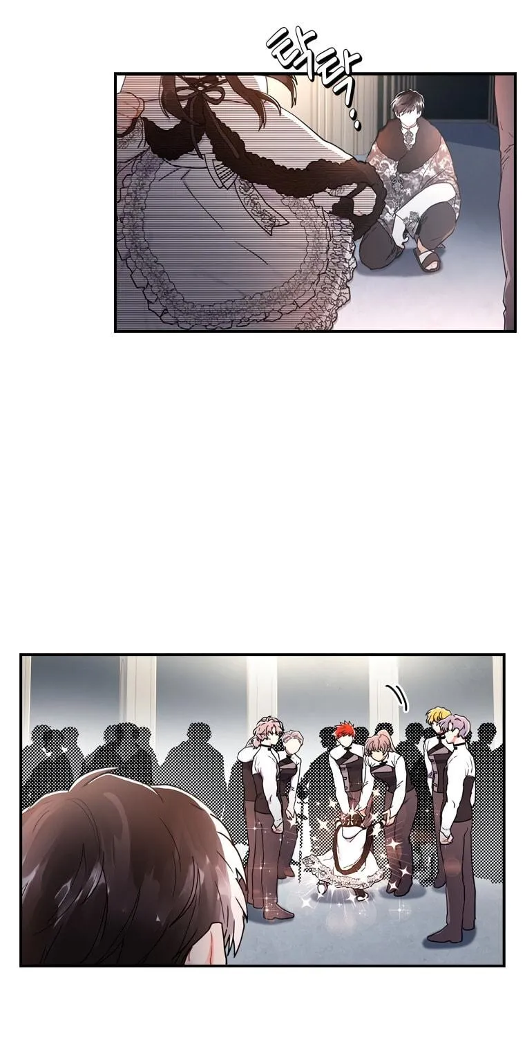 The Male Lead