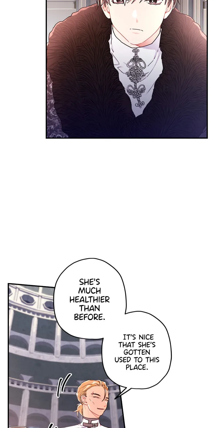 The Male Lead