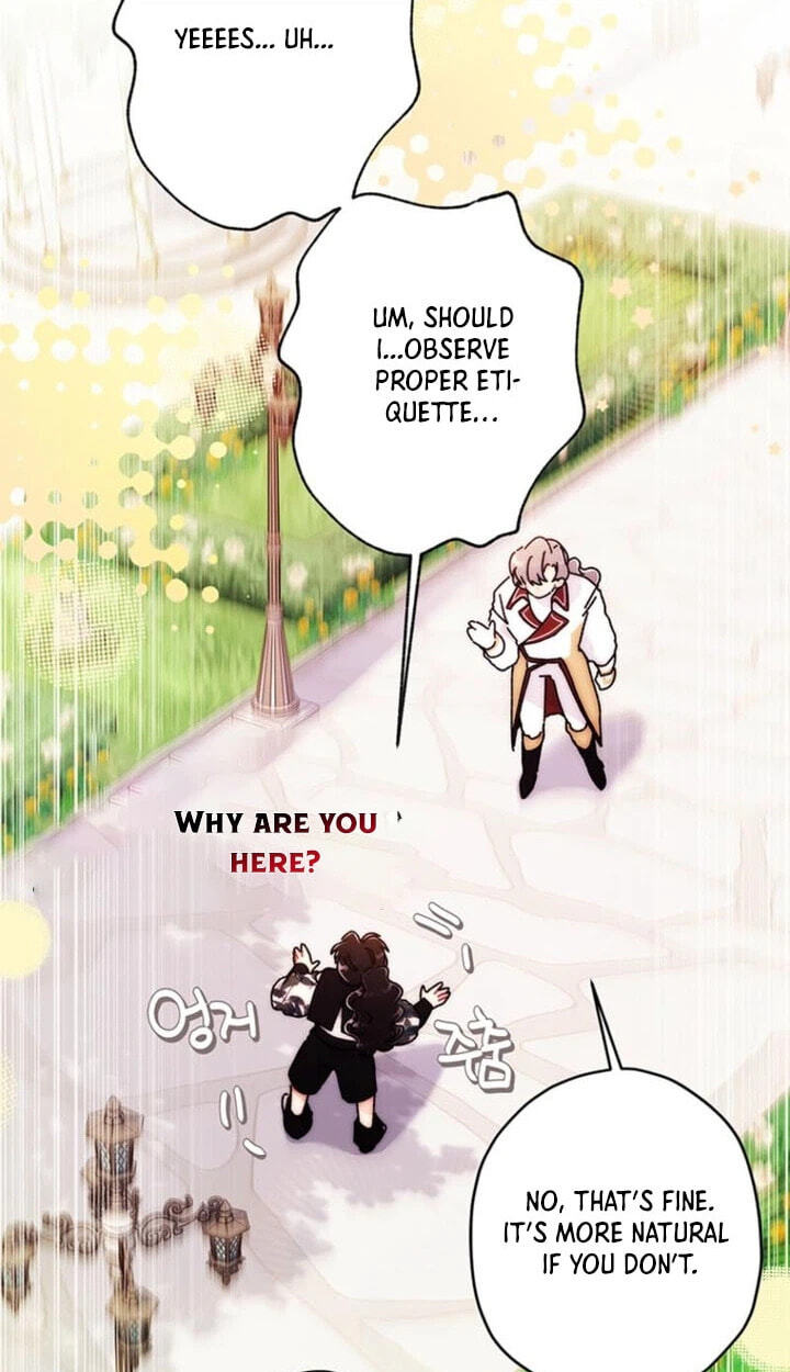 The Male Lead